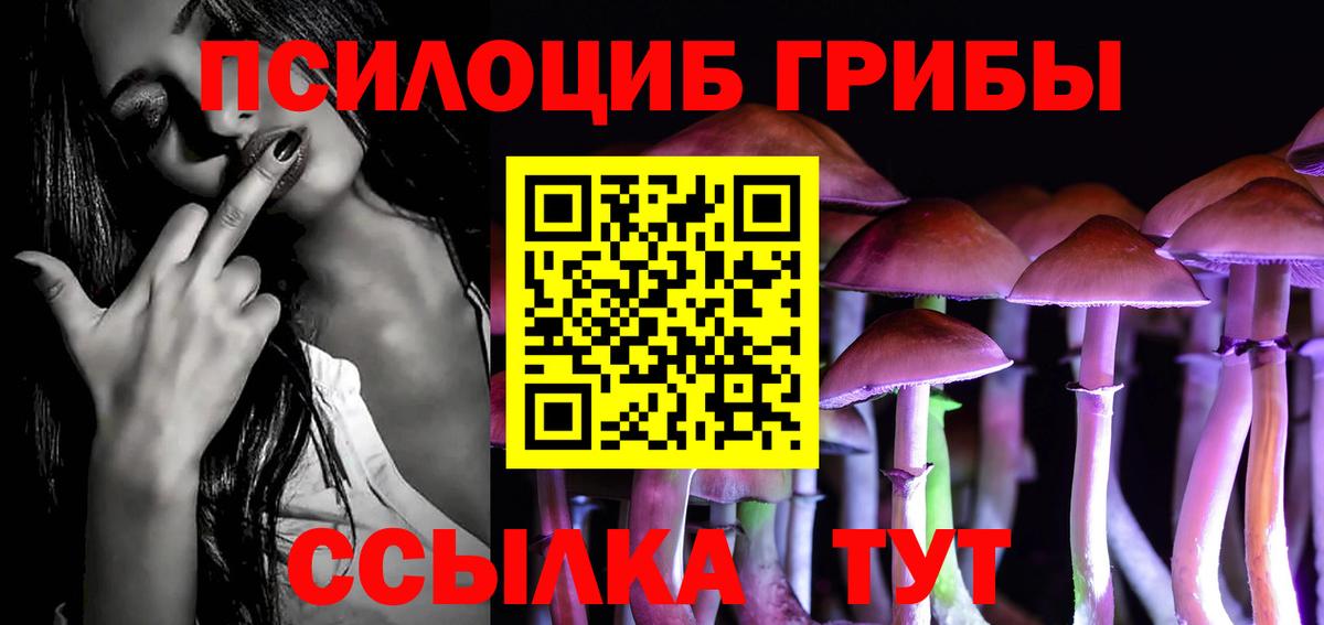 Волгоград  Псилоцибиновые грибы MAGIC MUSHROOMS  Галлюциногенные грибы прущие грибы  Вход с VPN 