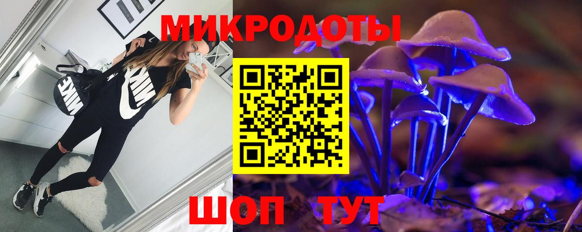 Псилоцибиновые грибы прущие грибы Волгоград